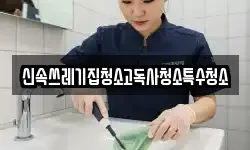 신속쓰레기집청소고독사청소특수청소