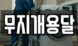 무지개용달