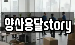 양산용달story