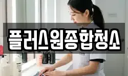 플러스원종합청소