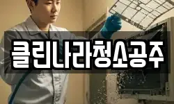 클린나라청소공주