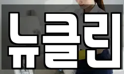 뉴클린