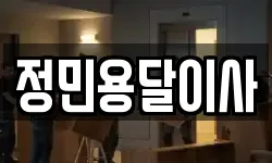 정민용달이사