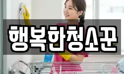 행복한청소꾼