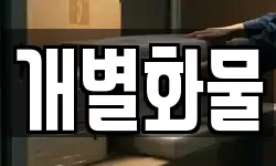 개별화물