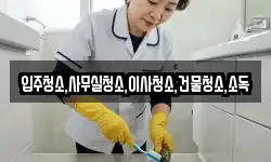 입주청소,사무실청소,이사청소,건물청소,소독