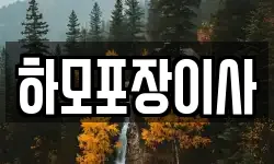 하모포장이사
