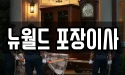 뉴월드 포장이사