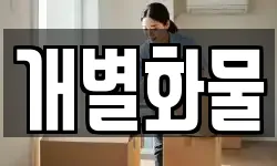 개별화물