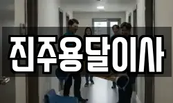 진주용달이사