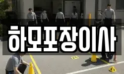 하모포장이사