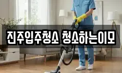 진주입주청소 청소하는이모