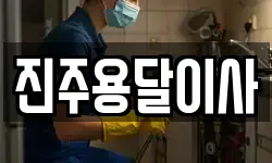 진주용달이사