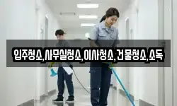 입주청소,사무실청소,이사청소,건물청소,소독
