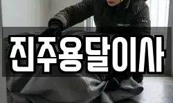 진주용달이사