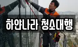 하얀나라 청소대행