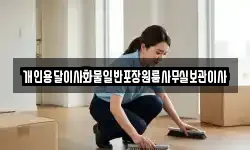 개인용달이사화물일반포장원룸사무실보관이사