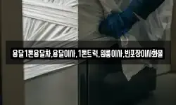 용달1톤용달차,용달이사,1톤트럭,원룸이사,반포장이사화물