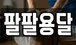 팔팔용달