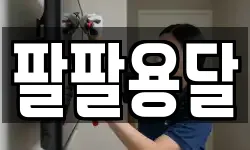 팔팔용달