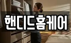 핸디드홈케어