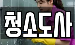 청소도사