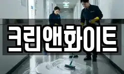 크린앤화이트