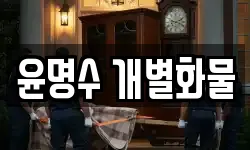 윤명수 개별화물