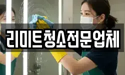 리미트청소전문업체