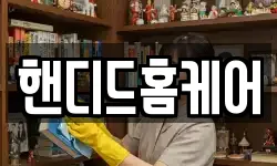 핸디드홈케어