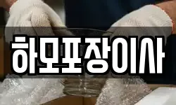 하모포장이사