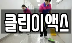 클린이액스