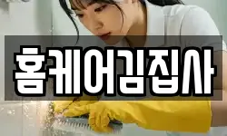 홈케어김집사
