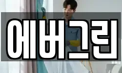 에버그린
