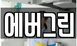 에버그린