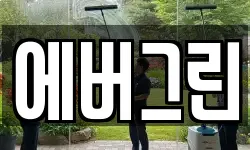 에버그린