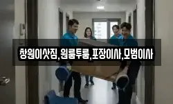 창원이삿짐,원룸투룸,포장이사,모범이사