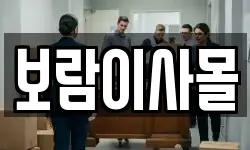 보람이사몰