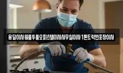 용달이사원룸투룸오피스텔이사사무실이사1톤트럭반포장이사