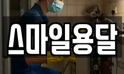 스마일용달