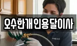오수한개인용달이사