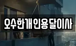 오수한개인용달이사