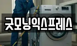 굿모닝익스프레스