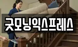 굿모닝익스프레스