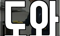 도와