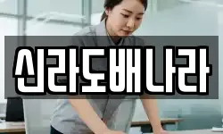 신라도배나라