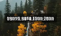 창원이삿짐,원룸투룸,포장이사,모범이사