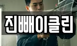 진빼이클린