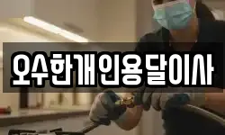 오수한개인용달이사