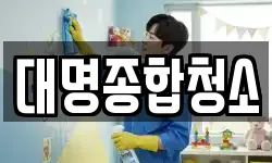 대명종합청소